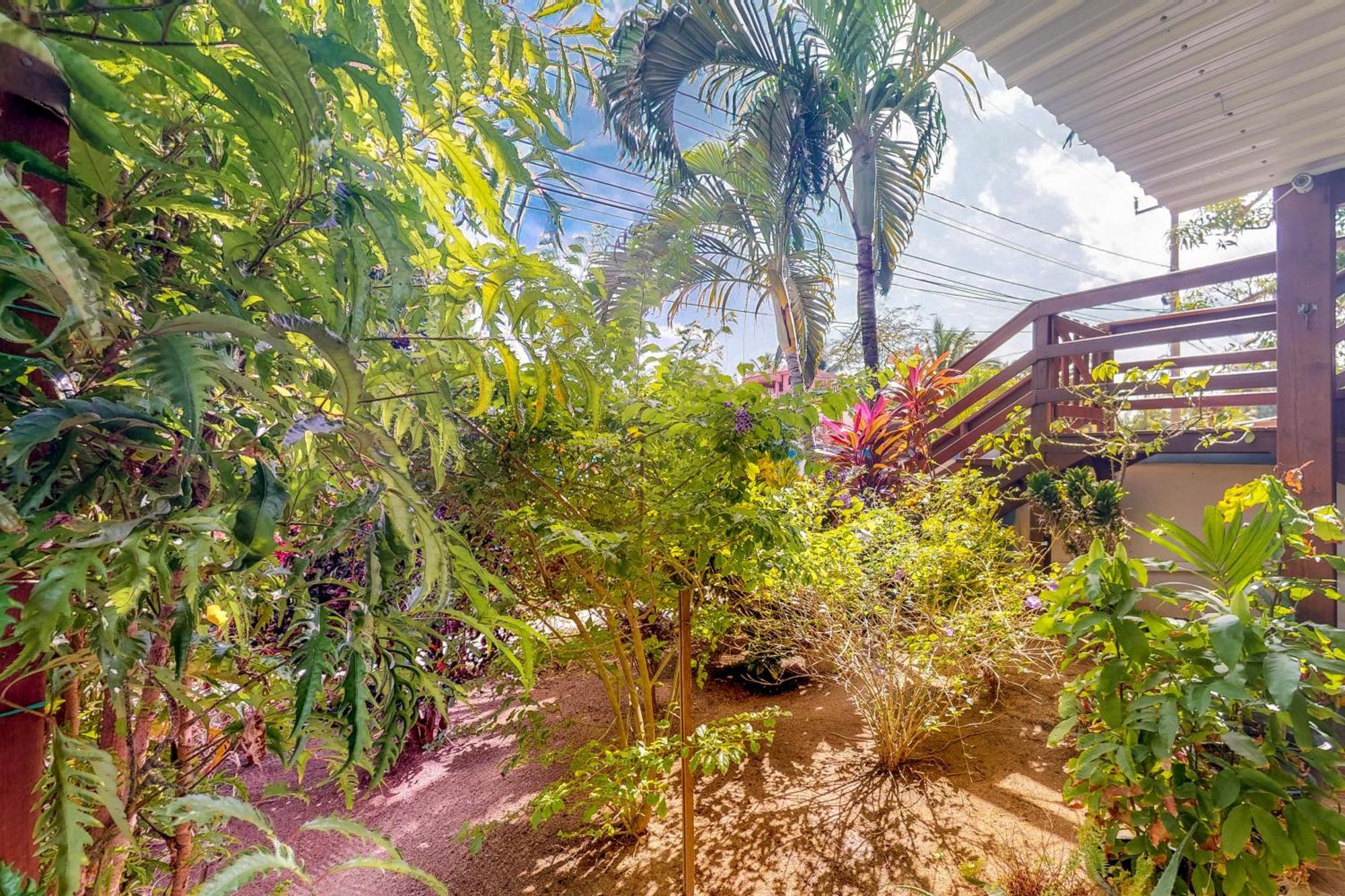 Apartmán Latitude 17 Hopkins Pokoj fotografie
