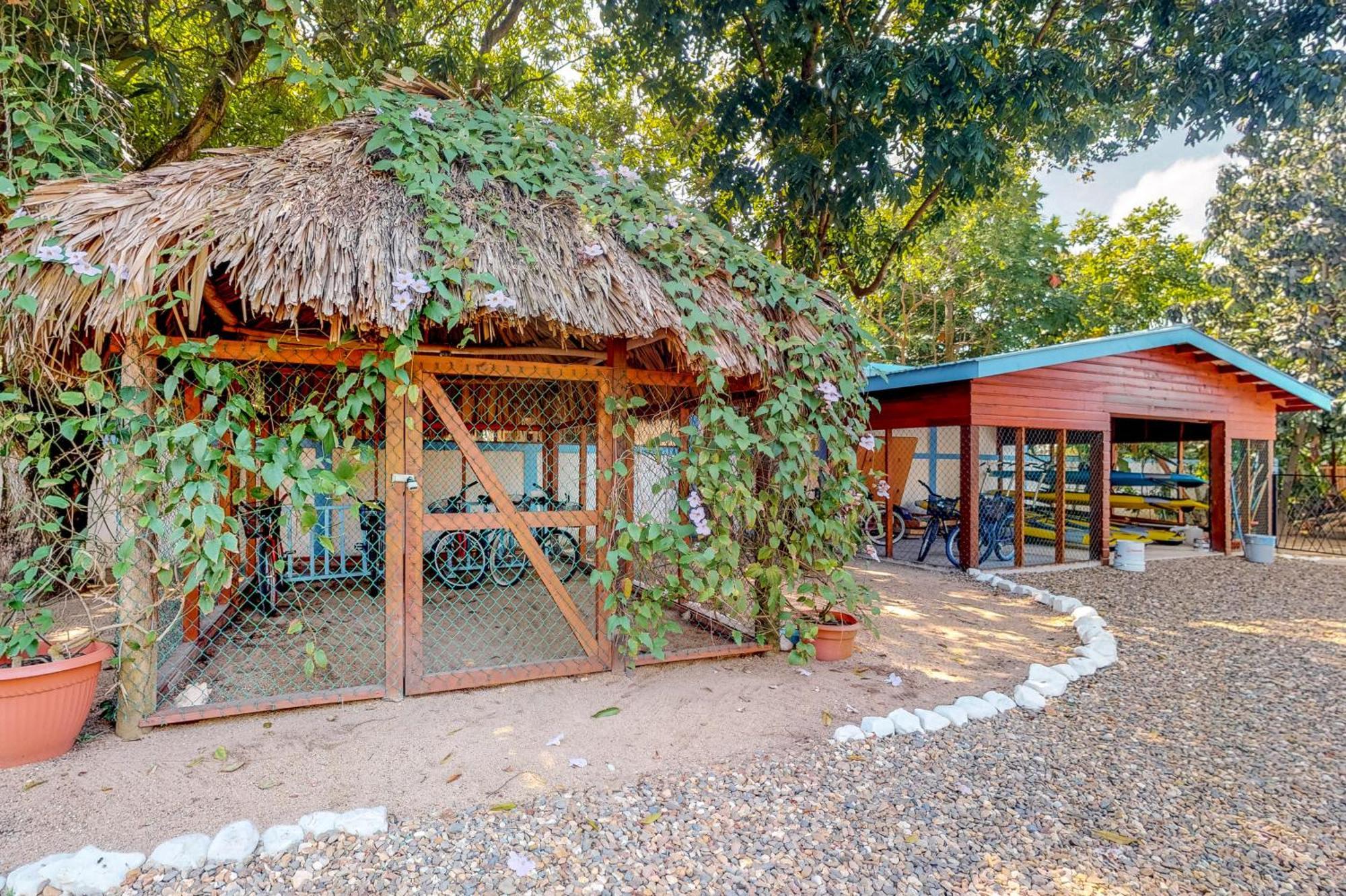 Apartmán Latitude 17 Hopkins Pokoj fotografie